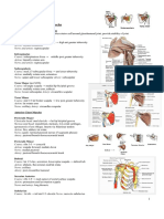 Anatomy UpperLimbMuscles