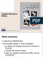 Capital Structure PDF