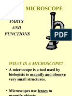 Carol - THE MICROSCOPE