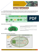 06 PhBioSci1 Plant Physiology and Development