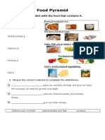 Food Pyramid Activity 1