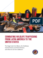 Combating Wildlife Trafficking From Latin America To The United States and What We Can Do To Address It