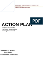 Action Plan Shawn Audrey Lapuz