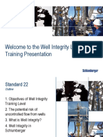 Well Integrity Training Module