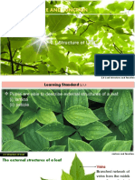 Biology Form 5 Chapter 2 Subtopic 2.1 Structure of Leaf