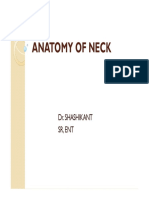 Muscles of The Head and Neck