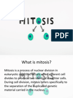 Meiosis