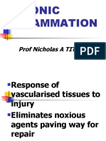 Combine Class Chronic Inflammation & Wound Healing (Power Point)