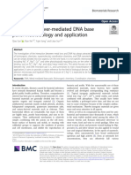 A Review On Silver-Mediated DNA Base Pairs Methodology and Application