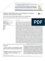 Vitamin D3 Transactivates The Zinc