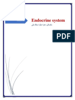 Endocrine System