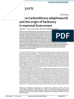 A New Carboniferous Edaphosaurid and The Origin of Herbivory in Mammal Forerunners