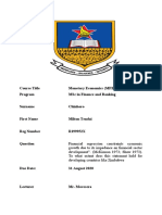 Monetary Economics UZ Individual Final