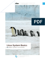 KaliLinux T1 EN PDF