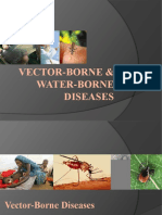 4.vector and Water Borne-Diseases