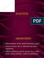 Bovine Mastitis