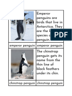 Emperor Penguins Are Birds That Live in Antarctica. They Are The Largest Species of Penguin