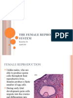 The Female Reproductive System