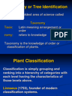 Dendrology Part 2