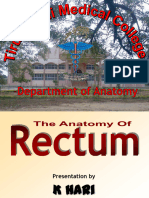 Anatomyofrectum 110521140034 Phpapp02