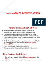 Mechanisms of Antibiotic Action, Class PPT II