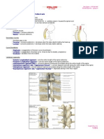 6-Spinal Cord