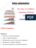 Cellular Adaptation DR AMAL D & T DR AMAL 2023 Lecture