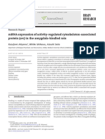 mRNA Expression of Activity-Regulated Cytoskeleton-Associated Protein (Arc) in The Amygdala-Kindled Rats