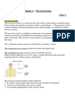 Class 5 - Science Chapter 4