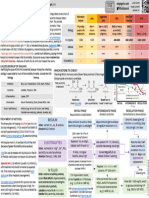 ICU One Pager Ketoacidosis v12