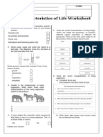 Living Things and Viruses Worksheet