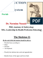 Ana - Introduction To Skeletal System - Audio