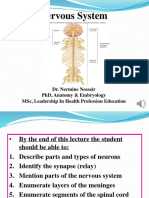 Ana - Nervous System Introduction