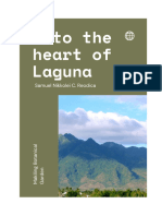 Into The Heart of Laguna