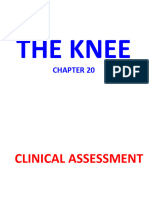 The Knee