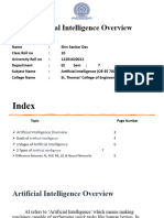 Artificial Intelligence Overview