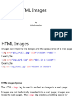 Intro HTML Working With Image