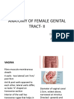 Anatomy of Female Genital Tract - Ii