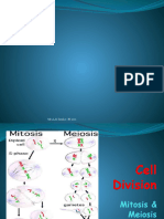 Cell Cycle Lecture