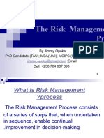 The Risk Management Process