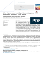 Seyedi 2024 - Effects of Light Spectra On Morphological Characteristics, Primary and Specialized Metabolites of Thymus Vulgaris L