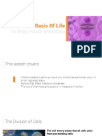 1.6 Binary Fission and Mitosis