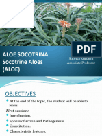 Aloe Socotrina