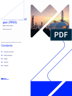 Renewable Natural Gas - State of Market in North America (2023 by Wood Mckenzie)