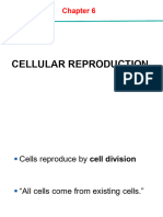 Chapter 6 Cellular Reproduction