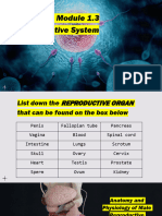 Quarter 3 Module 1.3 Reproductive System