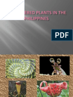 Endangered Plants in The Philippines