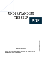 Understanding Self Modules