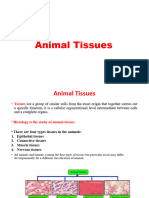 Animal Tissues 