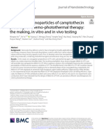 Carrier-Free Nanoparticles of Camptothecin